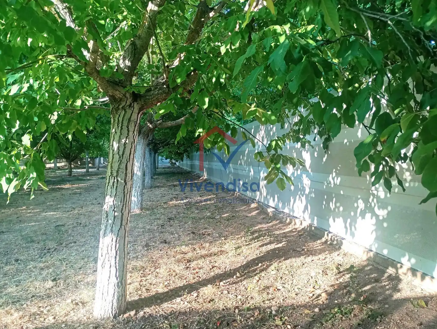 Terreny rústic en venda a Pesquera (Polígono 512), imagen 51