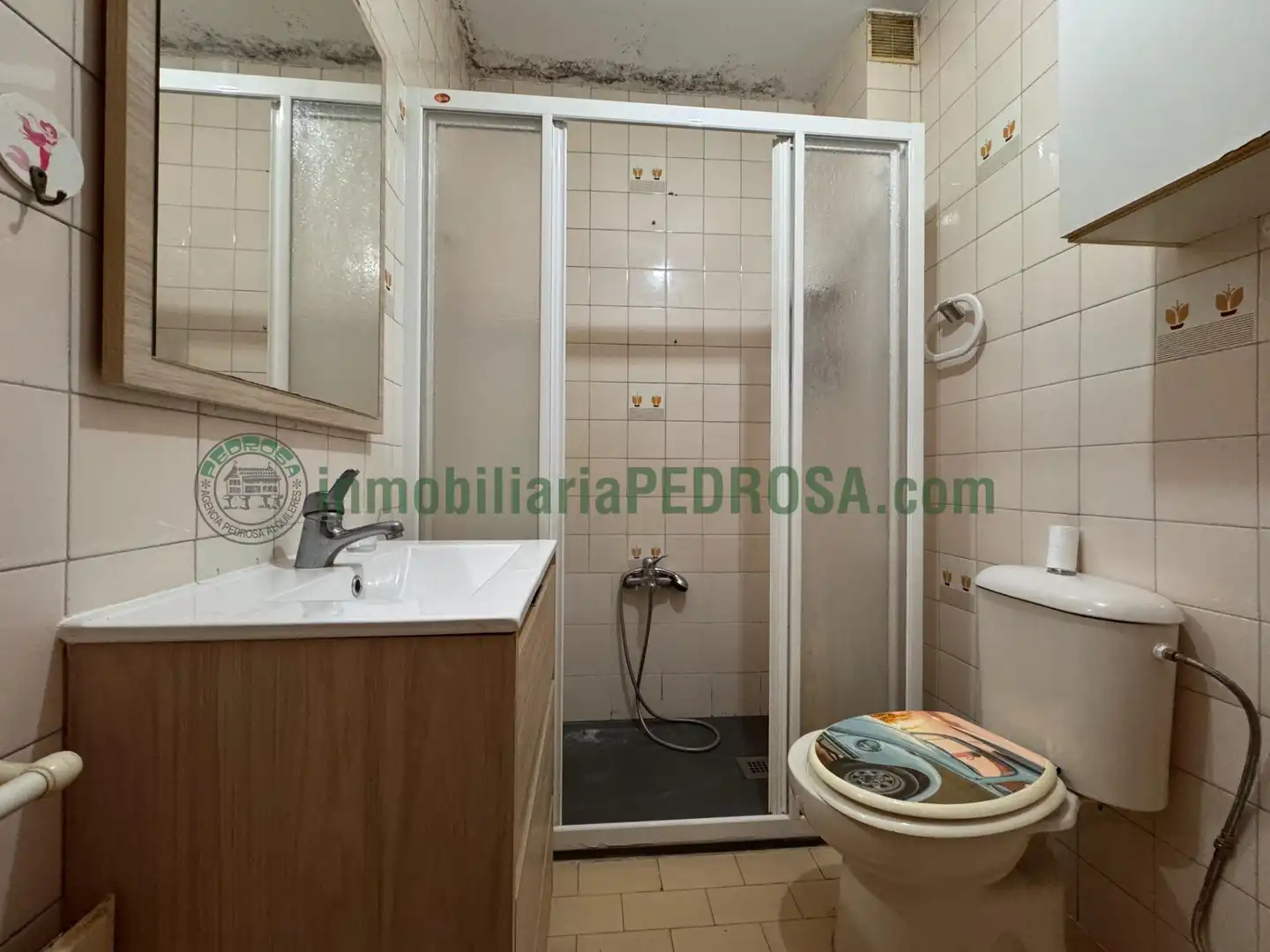 Apartment with lift for sale in MANUEL DEL PALACIO, imagen 14