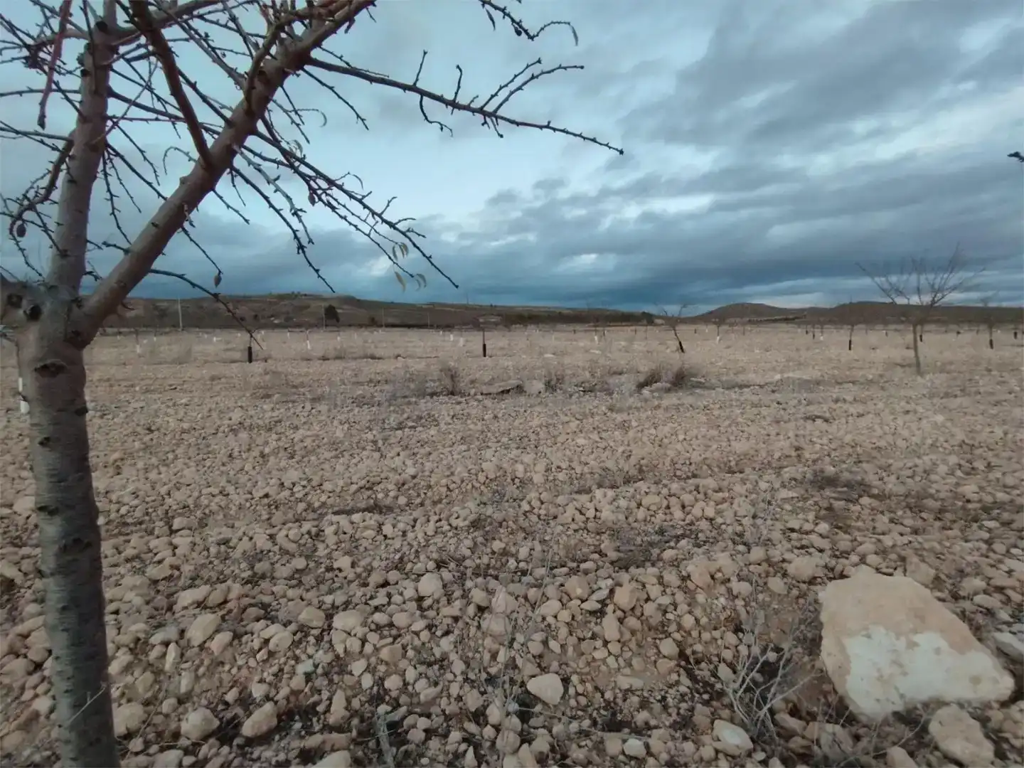 Terreno en venta en Montealegre del Castillo, Albacete