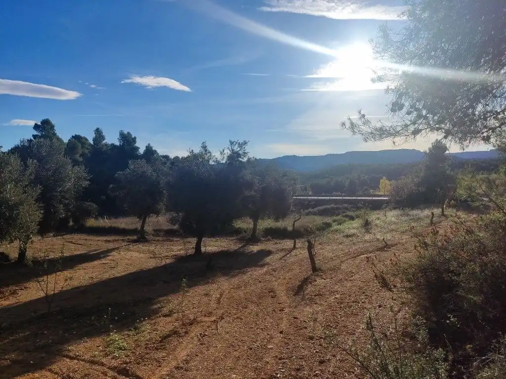 Terreni e lotti in vendita a Cretas, imagen 7