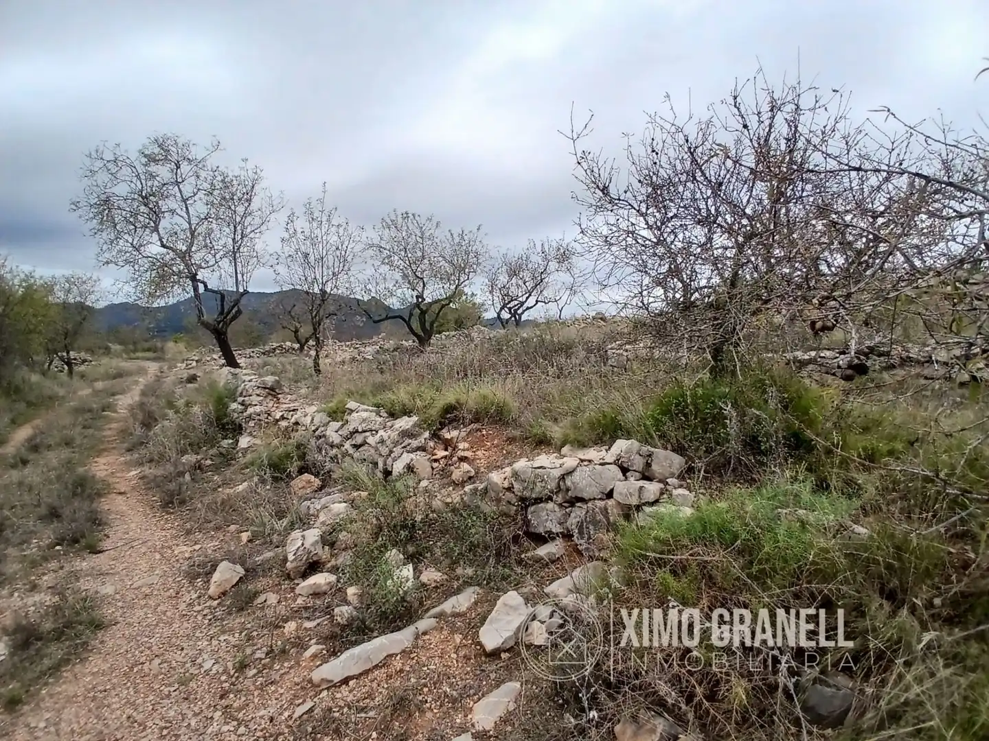 Terreny rústic en venda a La Vall d'Uixó, imagen 20