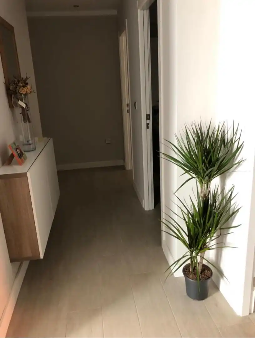 Wohnung mit Aufzug zum Verkauf in Calle Platero Sánchez de la Cruz 3, imagen 7