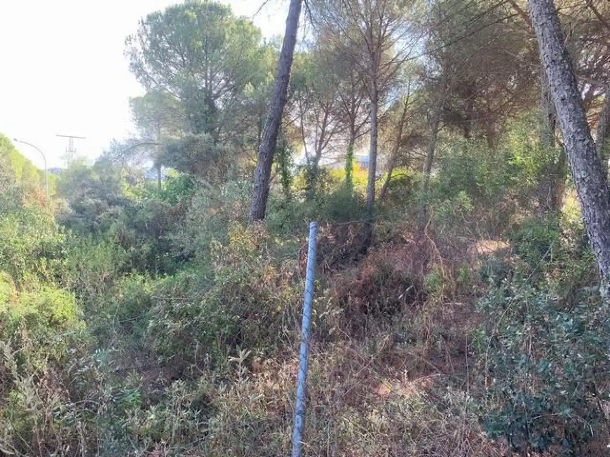 Terreny residencial en venda a Periurbano Oeste - Sierra, imagen 2