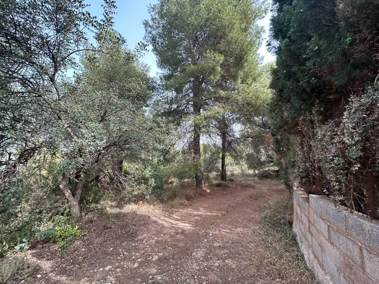 Rustikales Grundstück zum Verkauf in L'Alcora, imagen 9