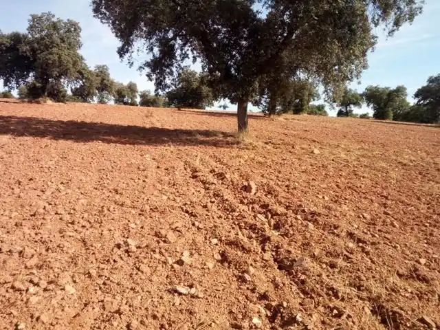 Terreny residencial en venda a Villanueva del Duque, imagen 28