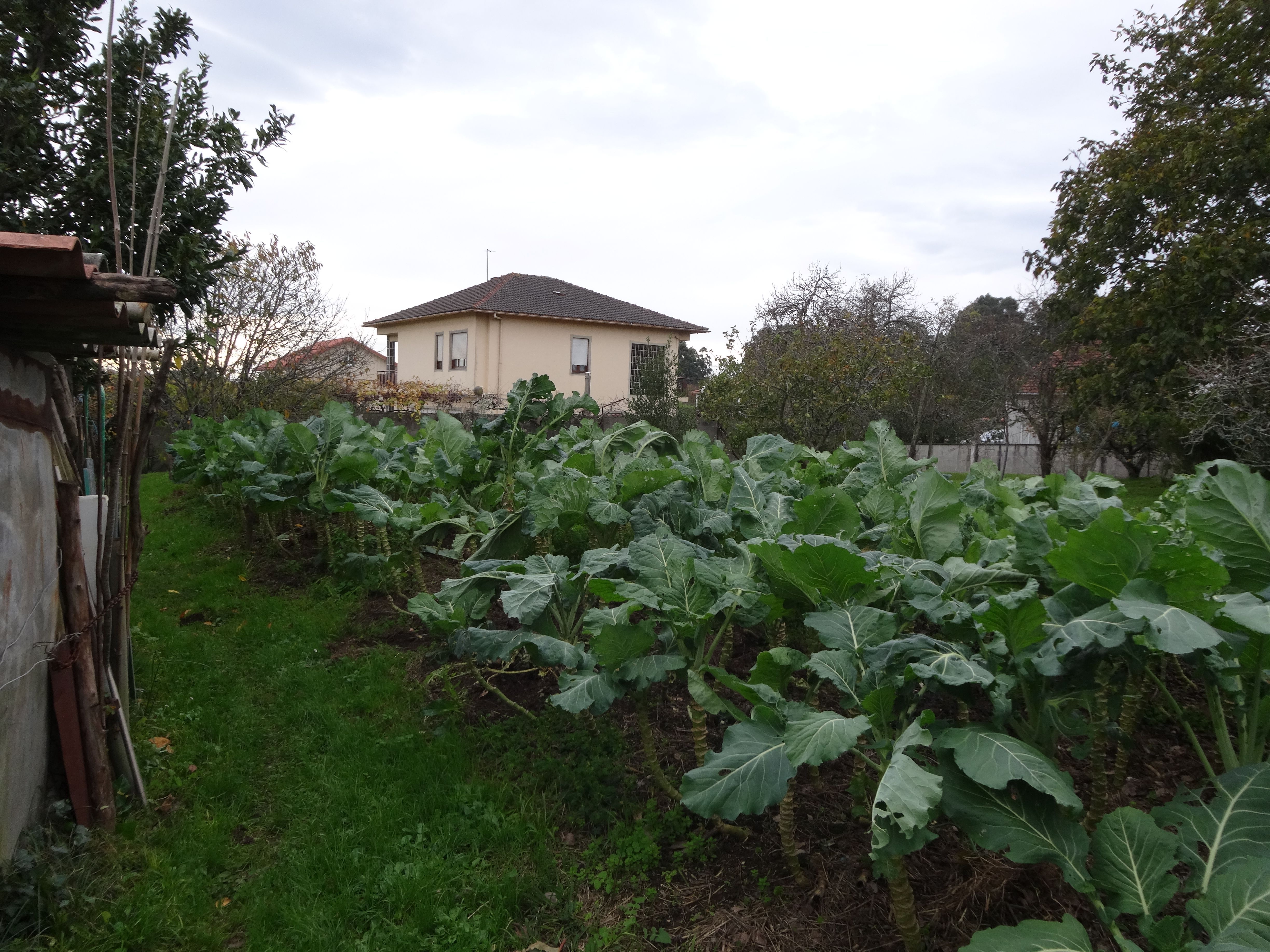 Garden of House or chalet for sale in Narón  with Heating