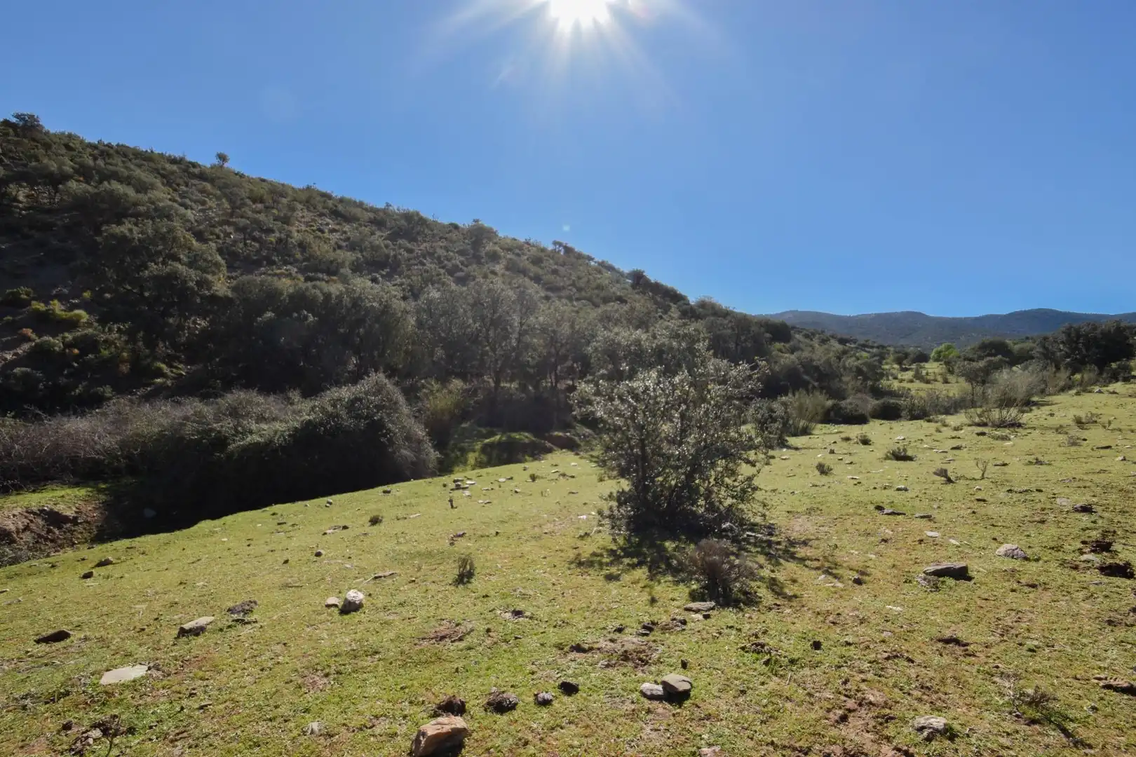 Terreno en venta en Paraje de las Perdices, Lugros