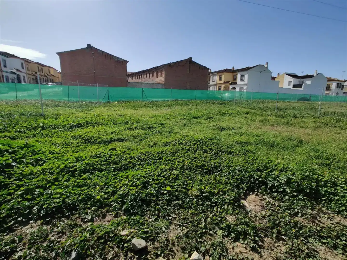 Finca rústica en venda en Cantillana