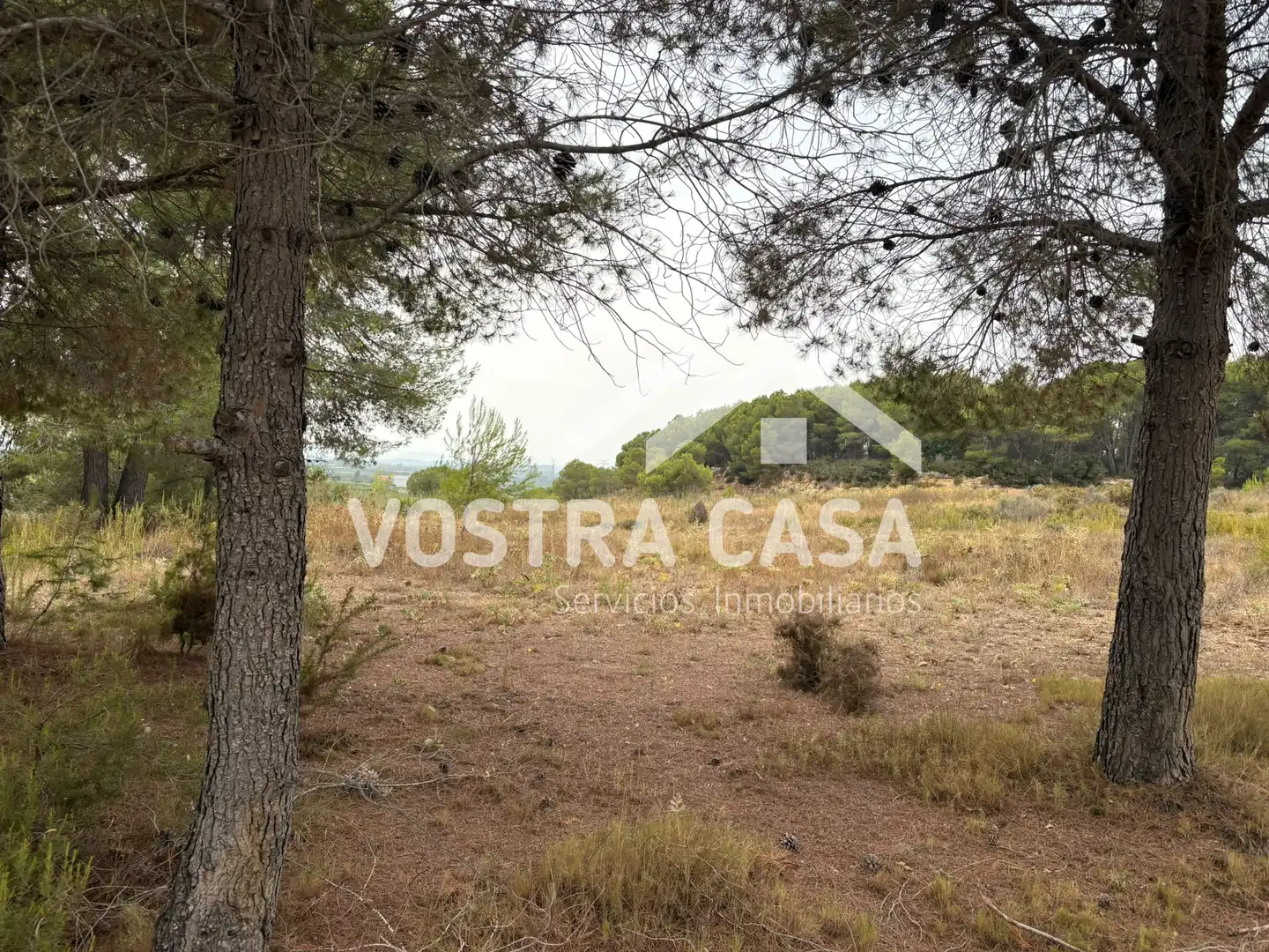 Terreno rustico in vendita a CL BADAJOZ, imagen 7