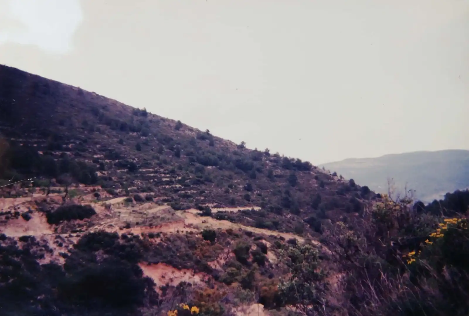 Rural land for sale in Torremanzanas / La Torre de les Maçanes, imagen 3