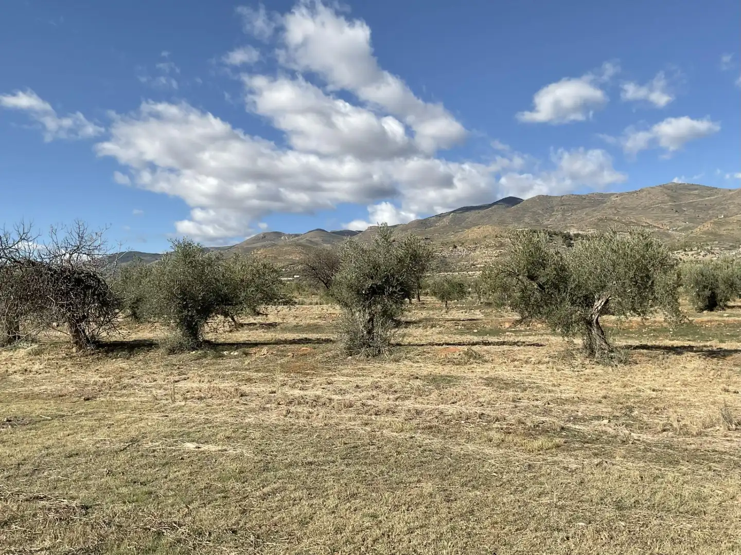 Land for sale in Padules