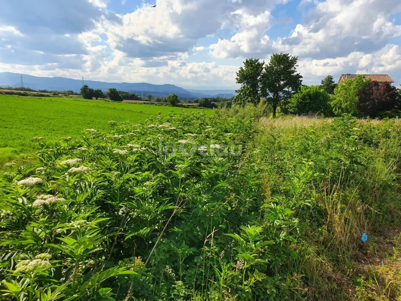 Terrain rustique à vendre à Seva, imagen 5