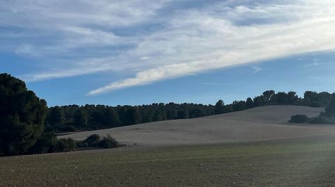 Finca rustica de 538 hectareas en la provincia de Albacete, immagine 2