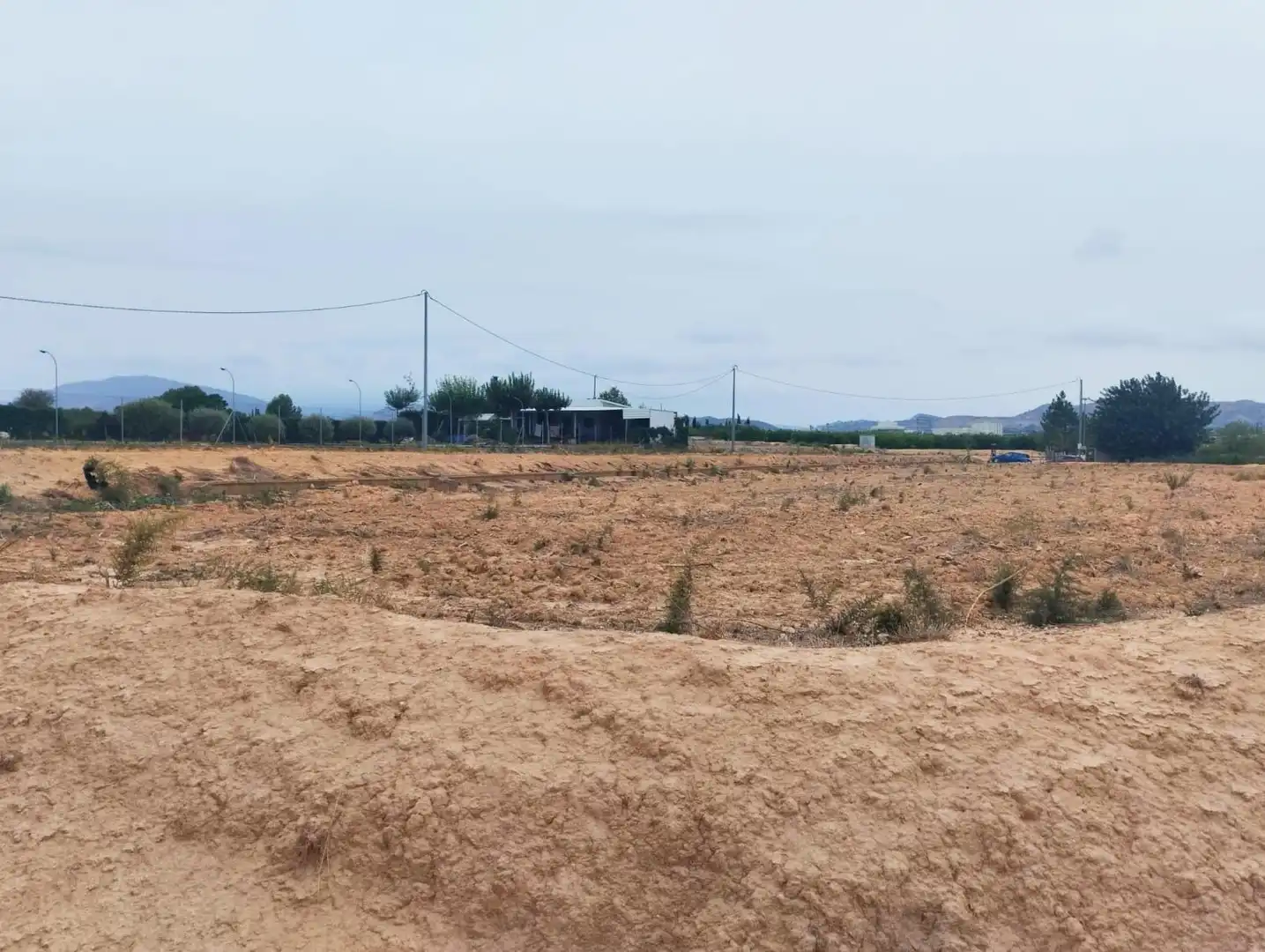 Terrain rustique à vendre à Camino de los Palacios, imagen 3