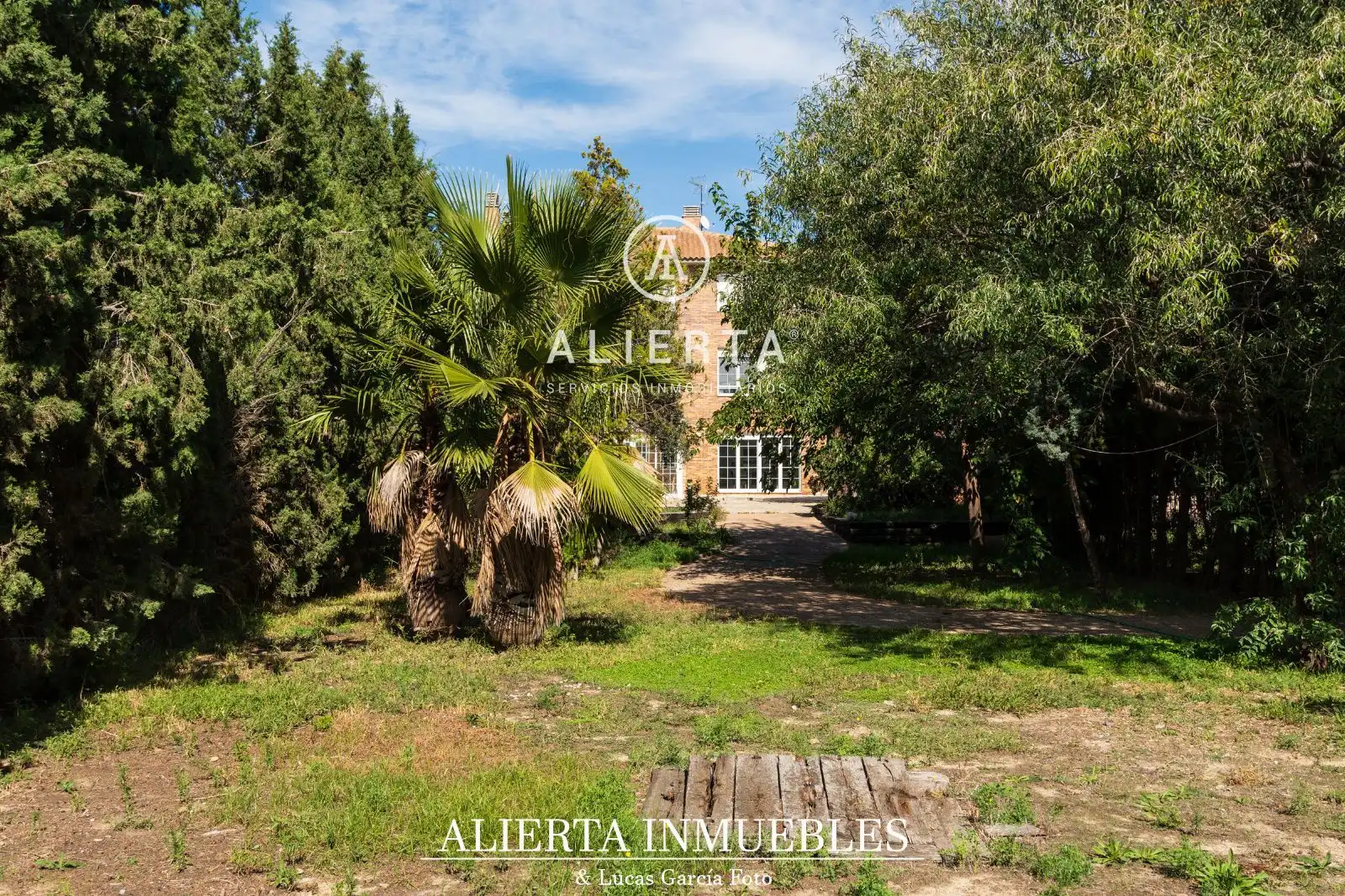 Houses for sale in Damas, San Juan de Mozarrifar