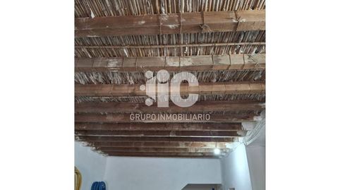 Foto 3 de Finca rústica en venta en Calle Carteya, Nueva Carteya, Córdoba