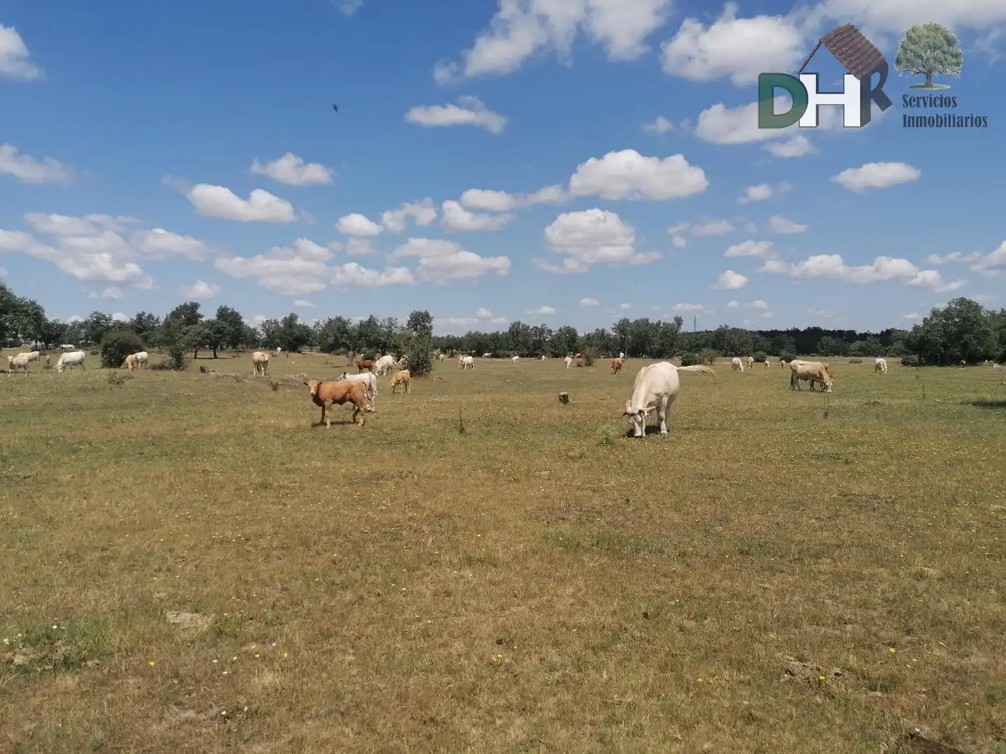 Lands and plots for sale in Barrio Blanco, imagen 7