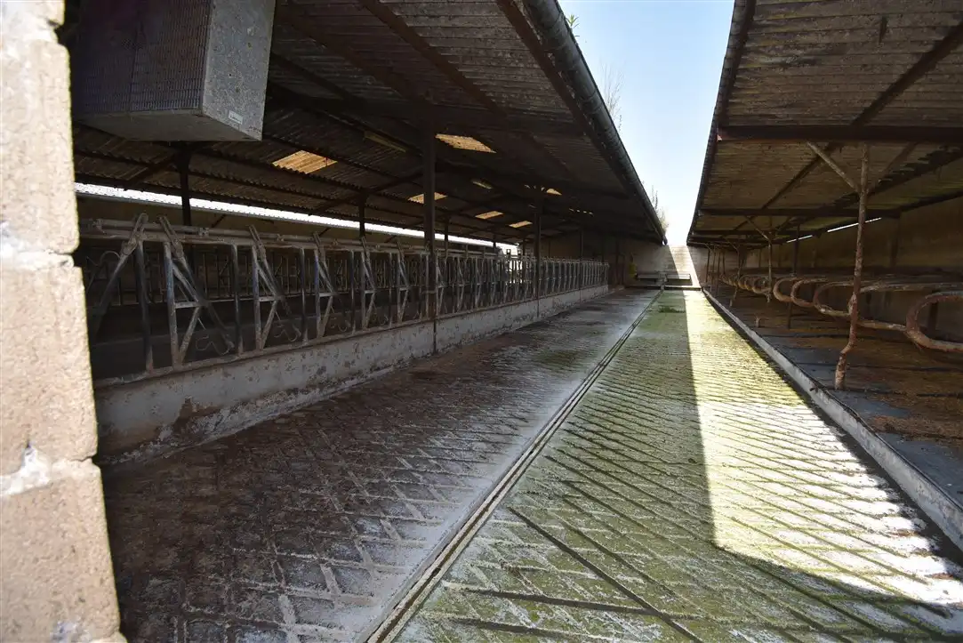 Industrial building for sale in Barrio Solorz, imagen 7