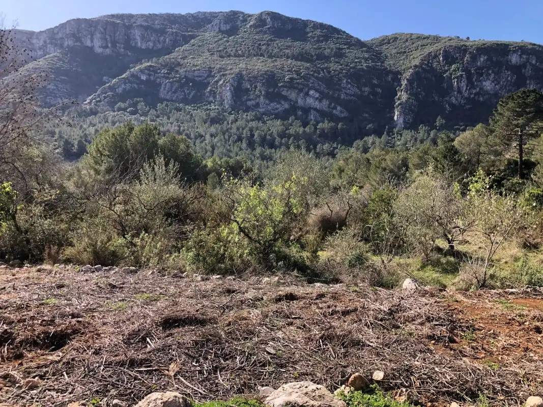 Rural land for sale in Barx, imagen 12