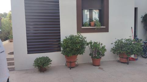 Foto 3 de Casa o chalet de alquiler en Calle Manuel Piñero, Las Pajanosas, Guillena