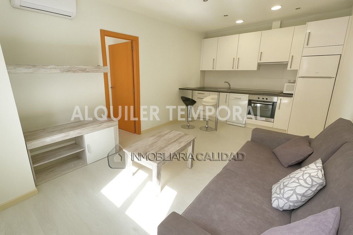 Living room of Flat to rent in Burgos Capital  with Heating and Furnished