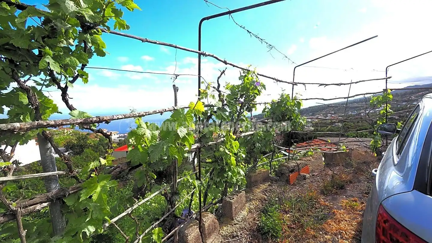 Lands and plots for sale in La Vega - El Amparo - Cueva del Viento, imagen 15