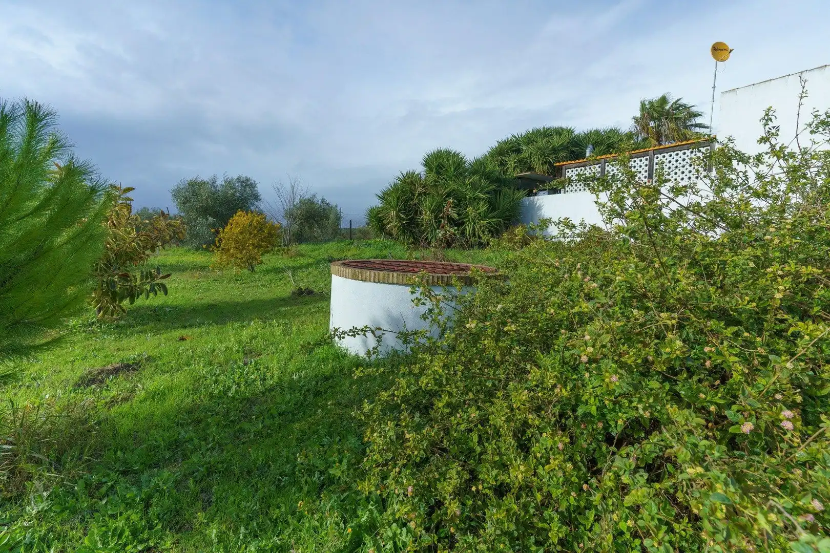 Finca rústica en venda a Manzanilla