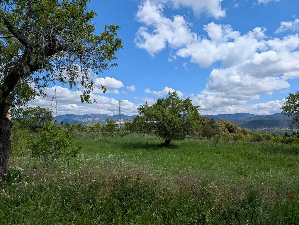 Finca rústica en venta en Monroyo con Jardín privado