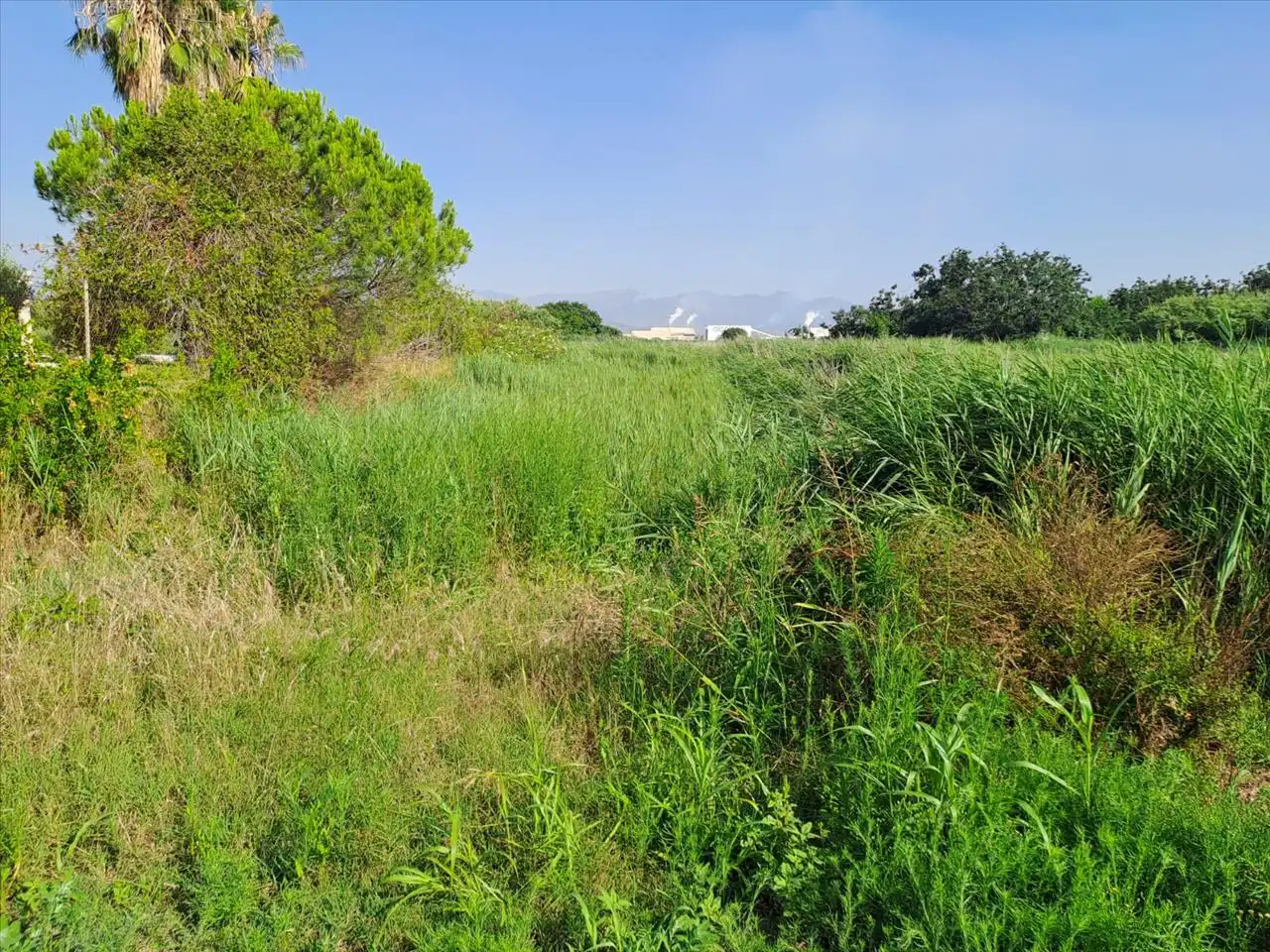 Terreny residencial en venda a POLÍGONO 3, imagen 2