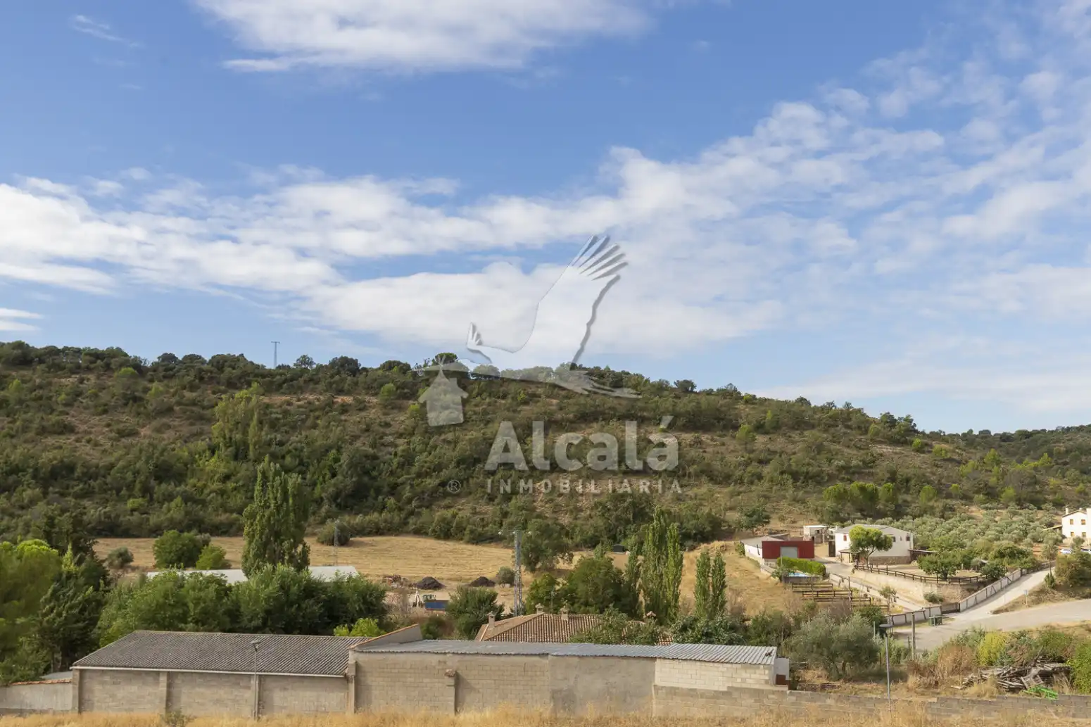 Residential land for sale in Hueva, imagen 33