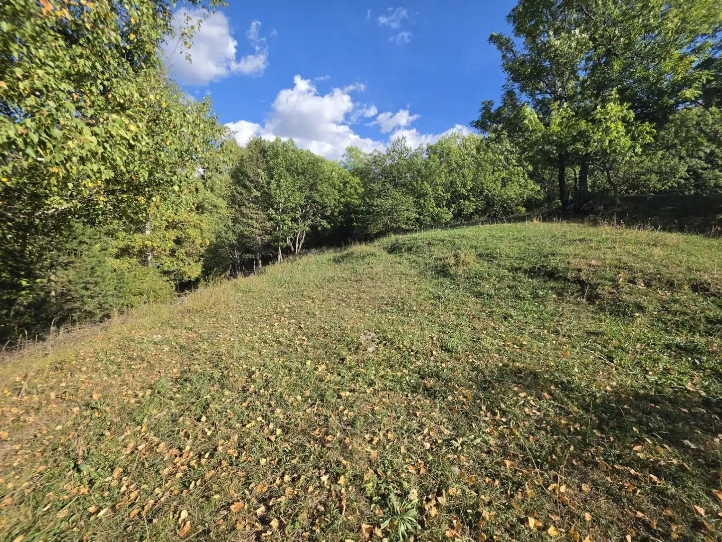 Lands and plots for sale in Benasque, imagen 8