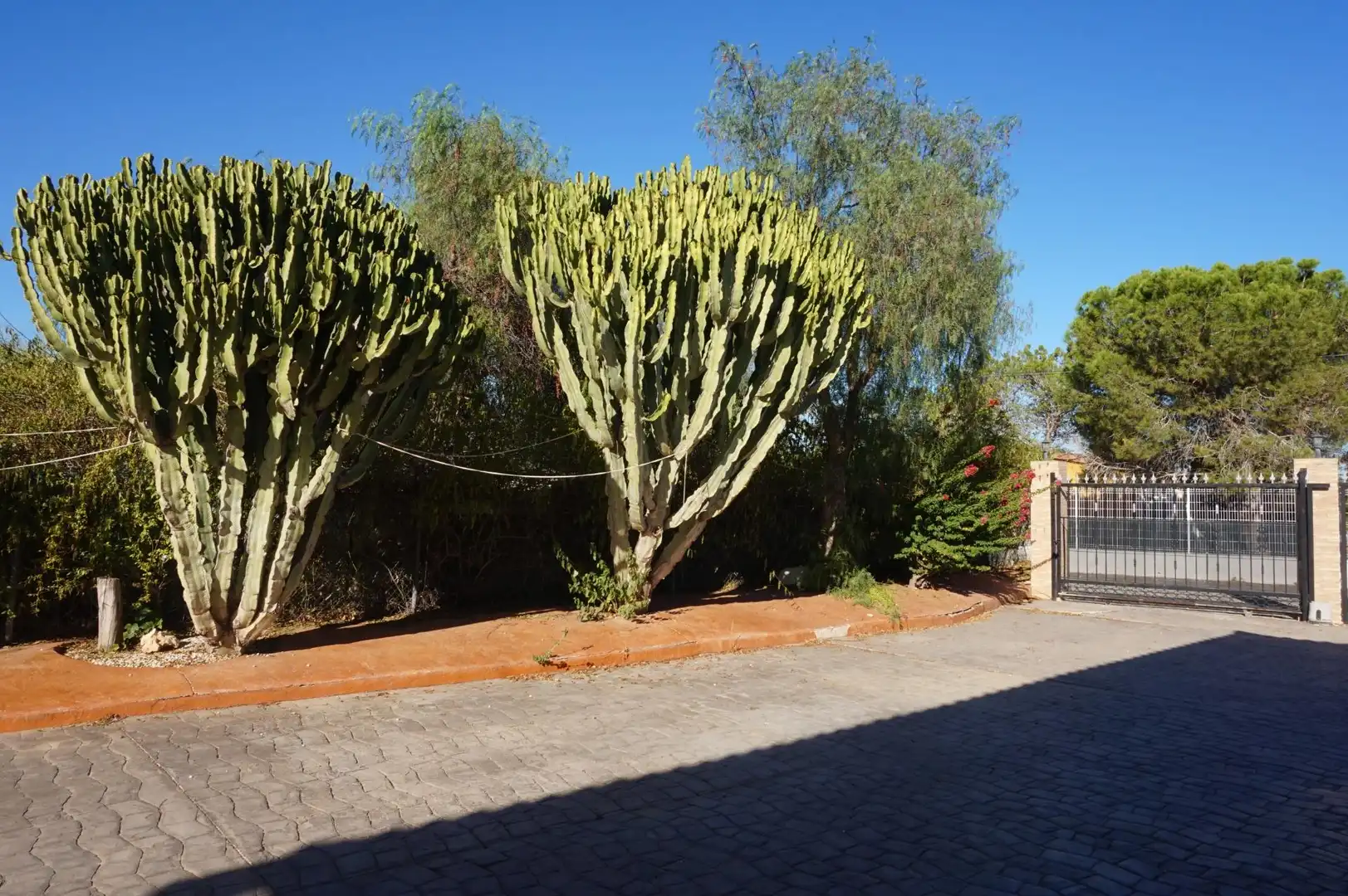 Jardí de Casa o xalet en venda en Elche / Elx amb Jardí privat, Terrassa i Traster