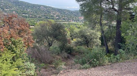 TERRENO CON MAGNIFICAS VISTAS, immagine 2
