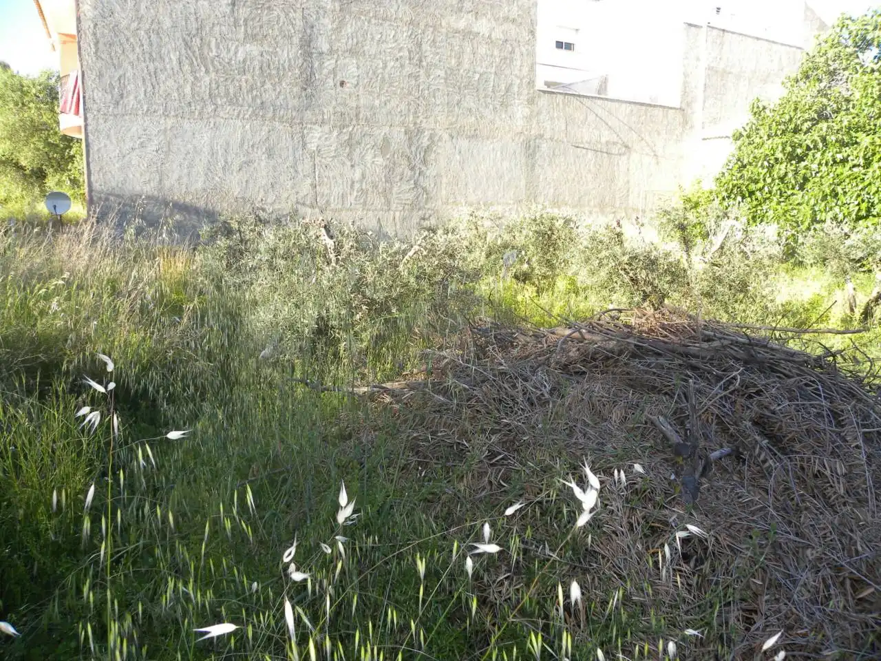 Industriegebäude zum Verkauf in Caravaca de la Cruz, imagen 14