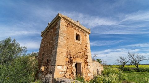 Terreno Rústico con Edificaciones a Restaurar en Campos, Mallorca, imatge 5