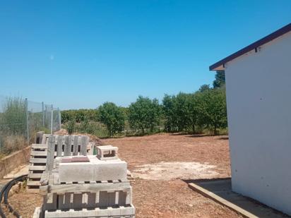 Land for sale in Alcàsser