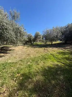 Land for sale in Alfarnatejo
