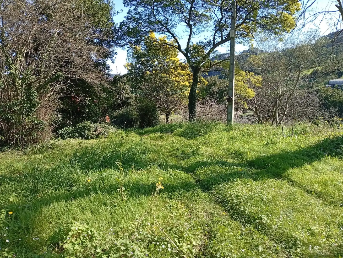 Casa en venda a Carreño, imagen 43