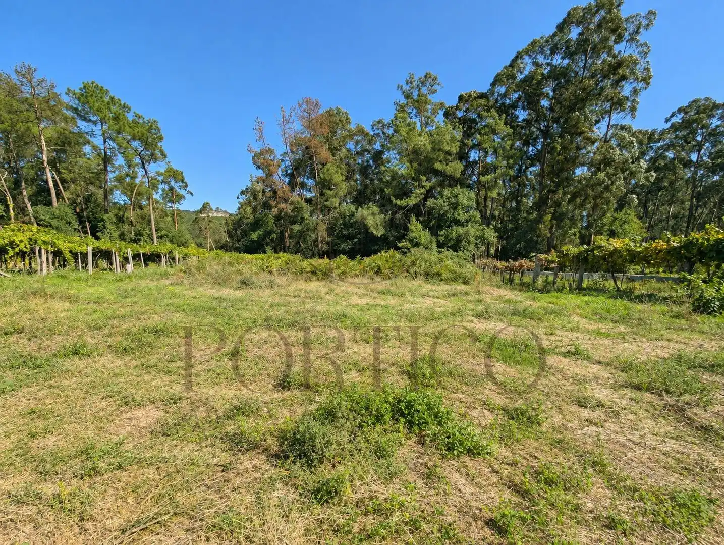 Residential land for sale in Salceda de Caselas, imagen 4