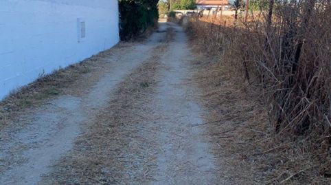 FINCA RUSTICA EN EL PALMAR, imatge 4
