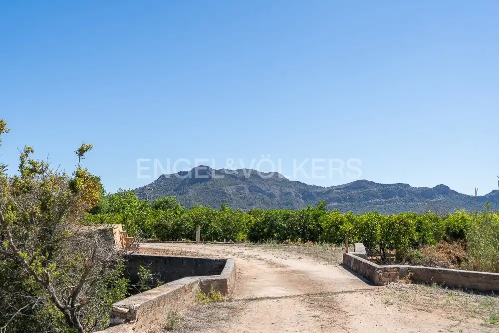 Terrenys i solars en venda a Palma de Gandia, imagen 29