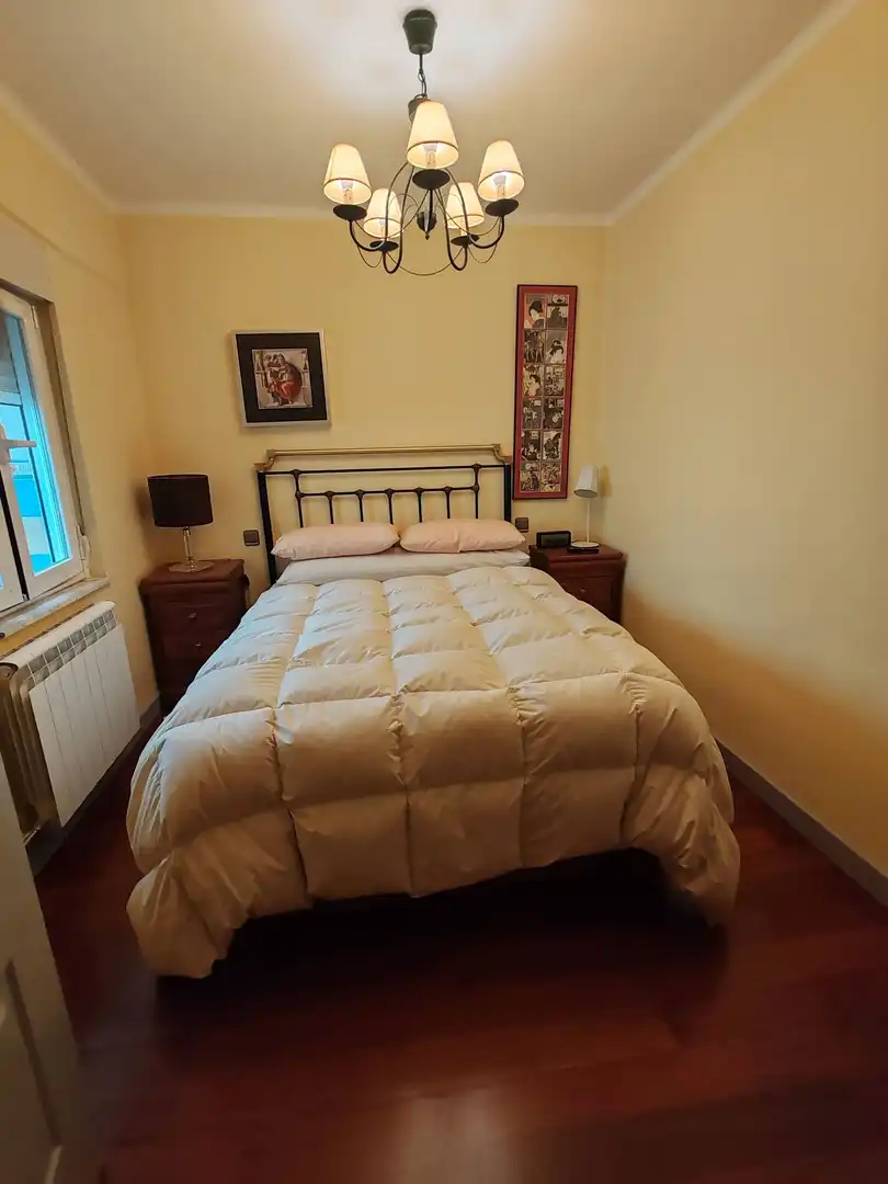 Apartments for rent in Salesas