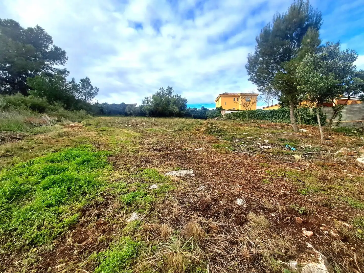 Terrenos y solares en venta en Calle El Pedregal, imagen 3