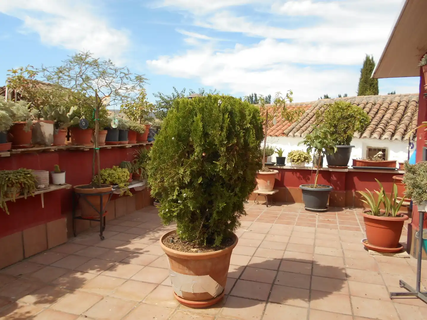 Terraza de Casa o chalet en venta en Corral de Calatrava con Terraza y Trastero