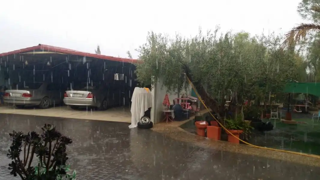 Villa avec piscine à vendre à Crevillent, imagen 20
