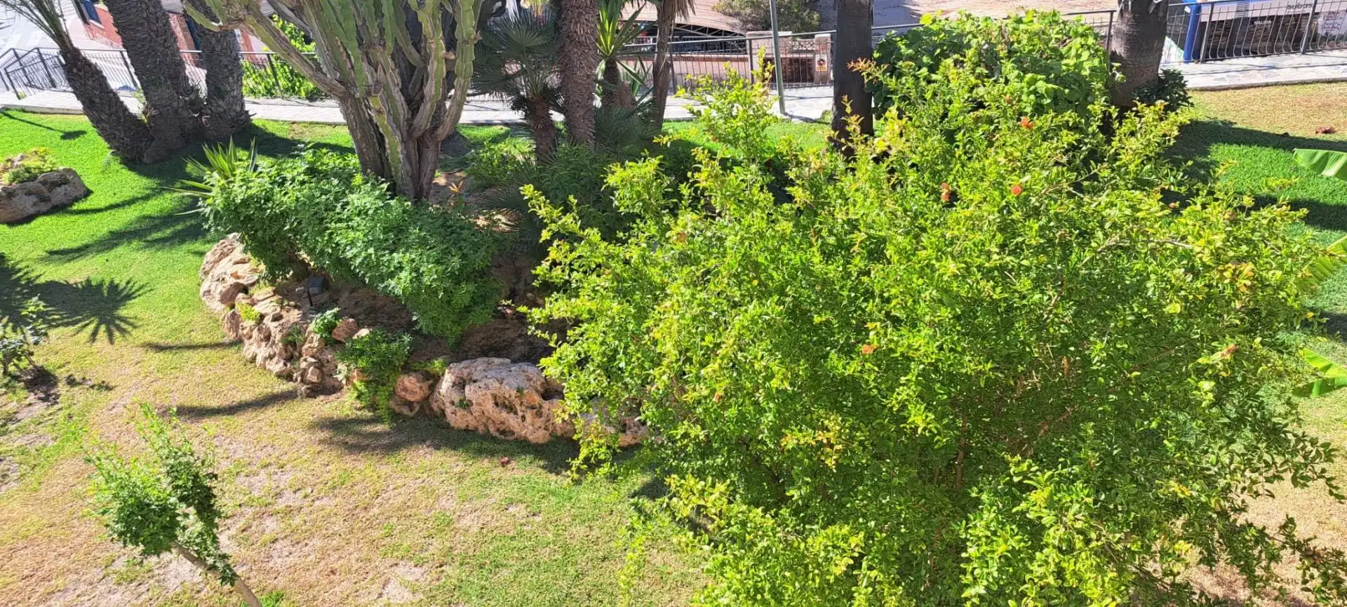 Jardí de Loft de lloguer en Santa Pola amb Aire condicionat, Jardí privat i Terrassa