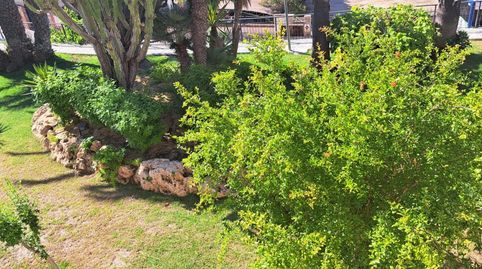 Foto 5 de Loft de lloguer a Calas Santa Pola Este, Santa Pola