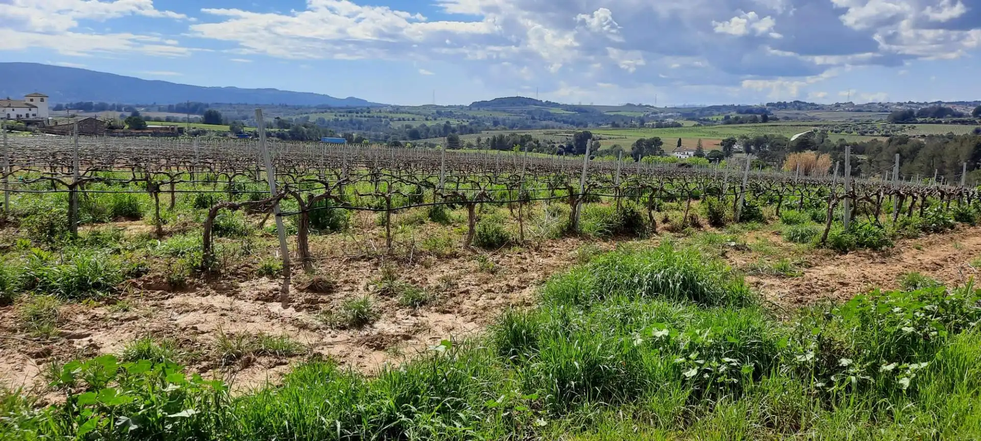 Lands and plots for sale in Sant Llorenç d'Hortons, imagen 6