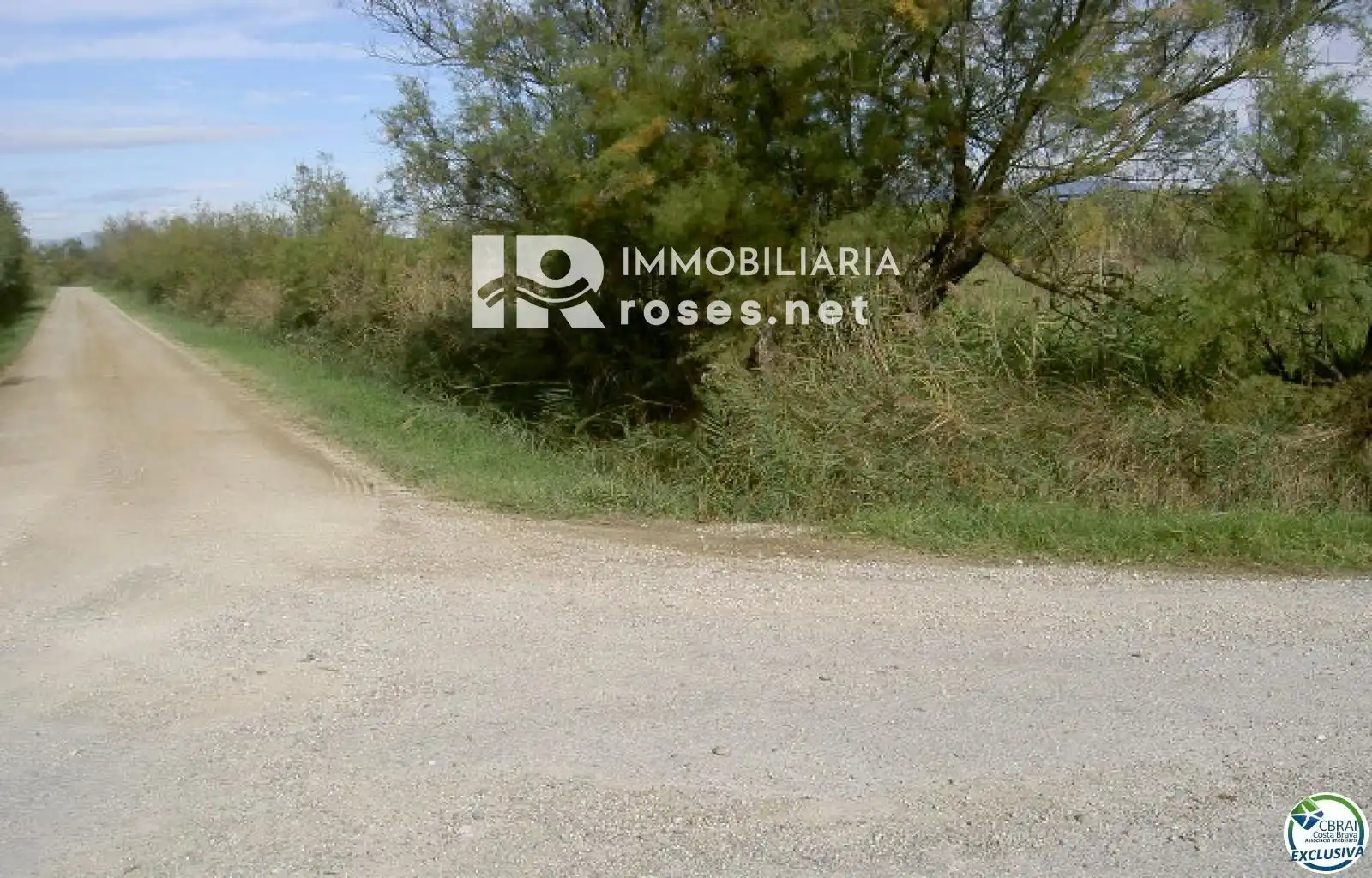 Rural land for sale in cortal vell, imagen 9