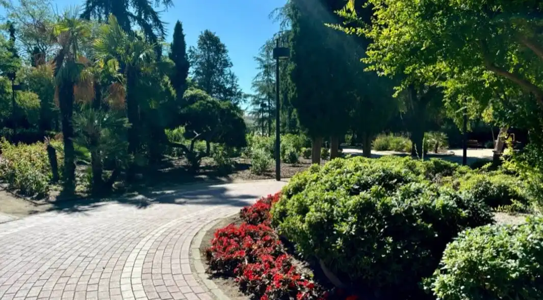 Jardí de Estudi en venda en Madrid amb Aire condicionat, Calefacció i Parquet